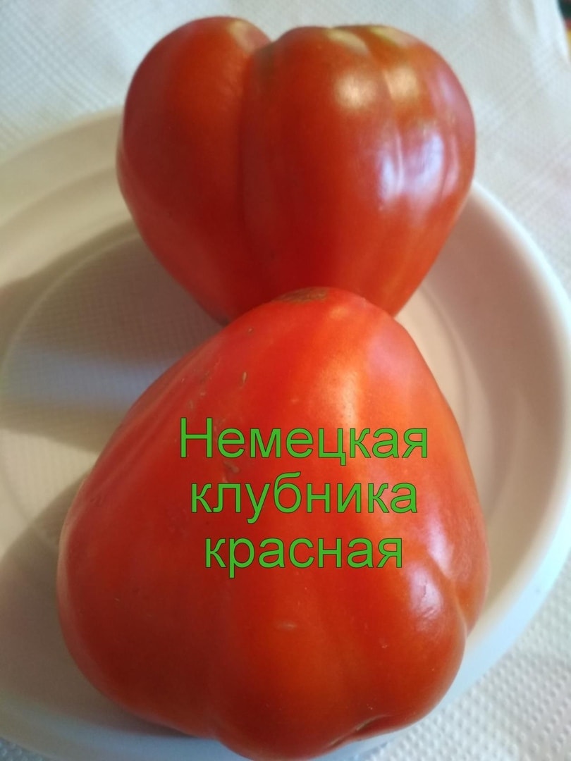 Томат немецкая оранжевая клубника фото